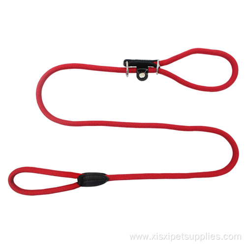 Leashes Heavy Duty Lights Personalized Quick Release